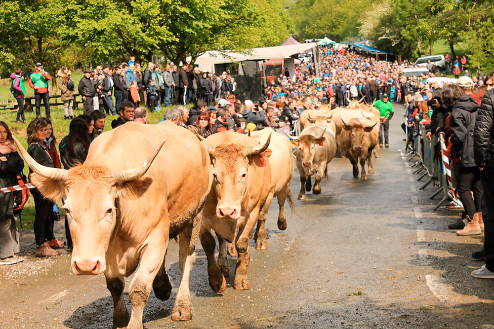 Aralar larre irekiera