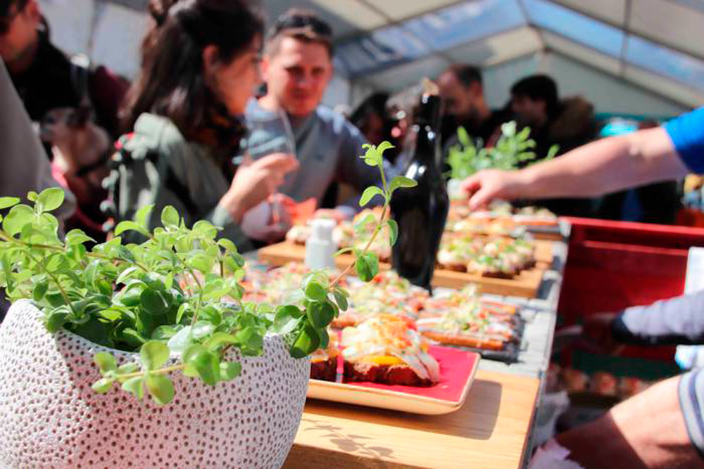 Ardo Txuri festa Tolosa