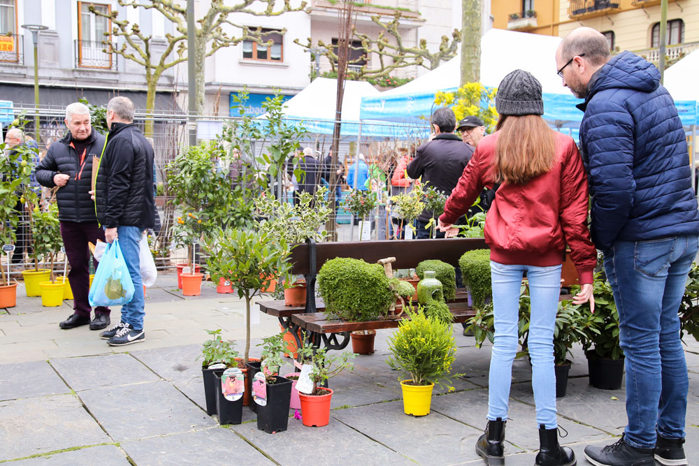 Zuhaitz Eguna Tolosa