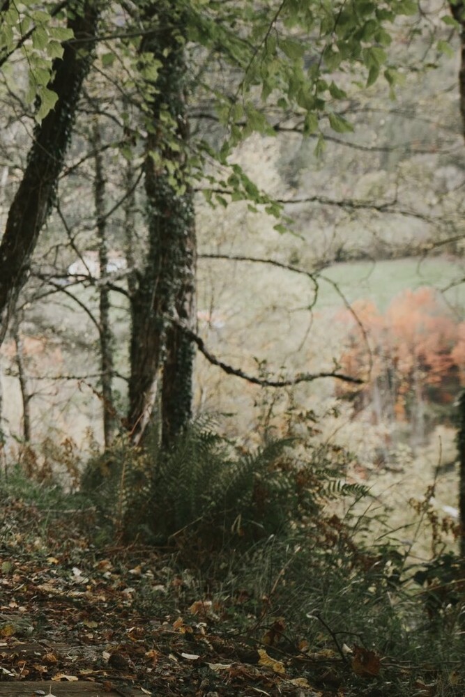 Paisaia udazkenean Paisaje en otoño