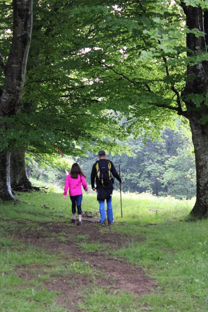 Bedaioko Mendi Martxa